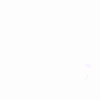Export Image