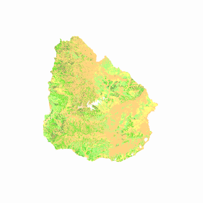 Export Image